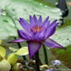 Meet your Posher, Carla